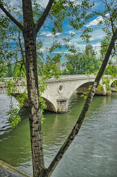 A Paris bridge glimpsed through the branches along the river