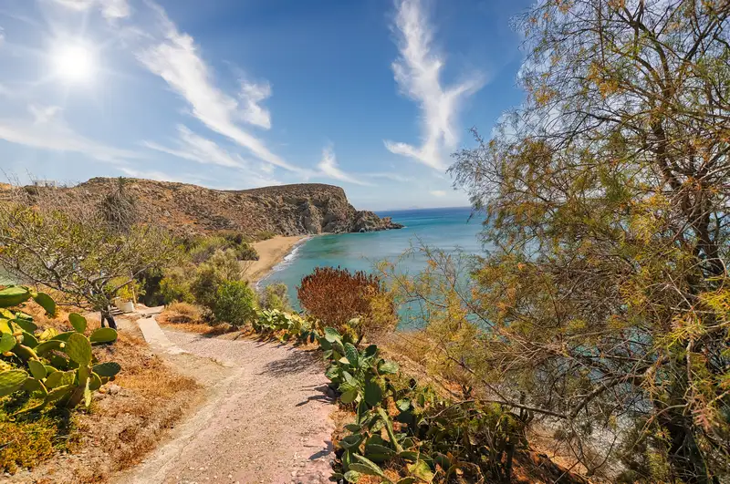 Dirt path through cactus and wild shrubs leading down to a secluded Anafi beach