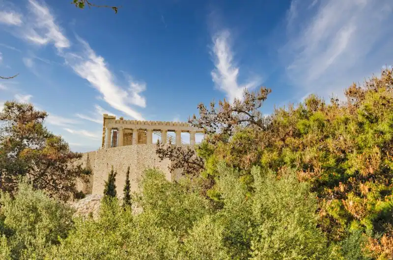 Parthenon rising above olive trees on the Acropolis of Athens