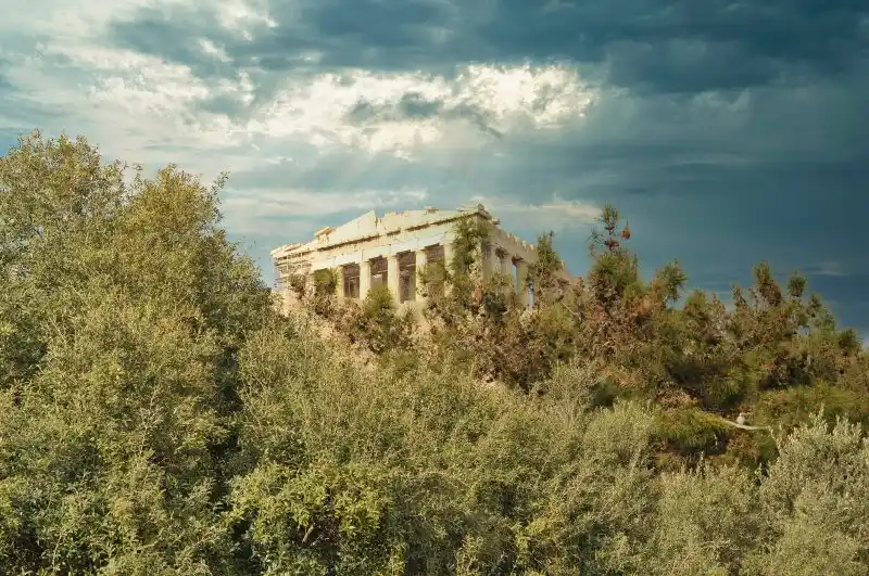 Parthenon temple on the Acropolis of Athens seen above olive tree