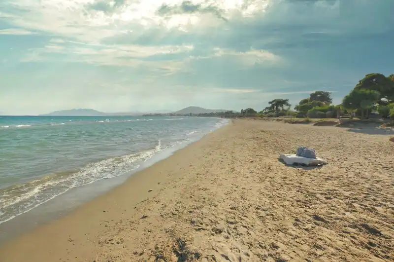 Loutsa beach on the eastern coast of Attica with a long stretch of golden sand, trees, and distant mountains across the bay