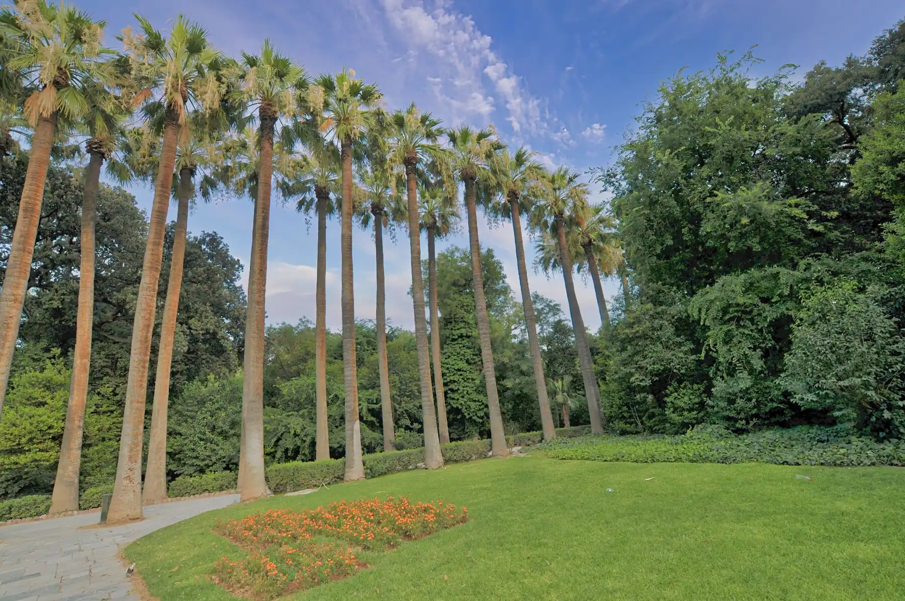 Best Parks in Athens