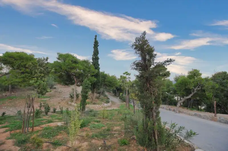 Trees and green vegetation lining a walking path on the hillside of Lycabettus in Athens