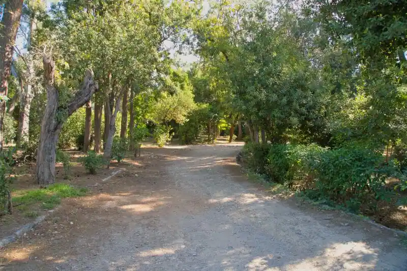 shaded gravel path splitting into two directions under mature trees inside the National Garden in Athens