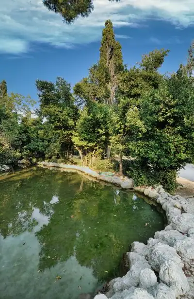 Tranquil green lake with stone borders and dense vegetation in the Athens National Garden
