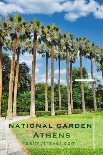 Iconic palm trees lining a green lawn inside the National Garden Athens Greece