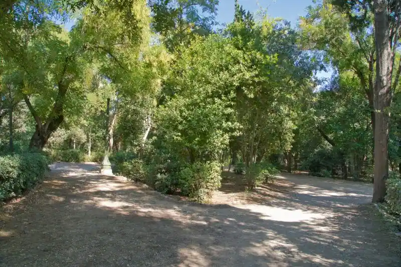 Tree-lined gravel path with dappled sunlight in the National Garden of Athens
