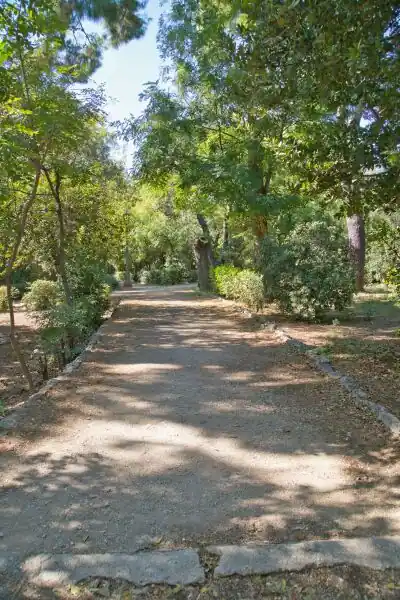 Narrow straight path lined with stone edges and shaded by trees in the National Garden Athens