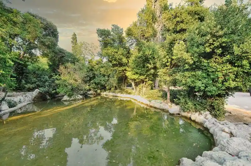 One of the larger ponds in the Athens National Garden surrounded by Mediterranean vegetation at sunset