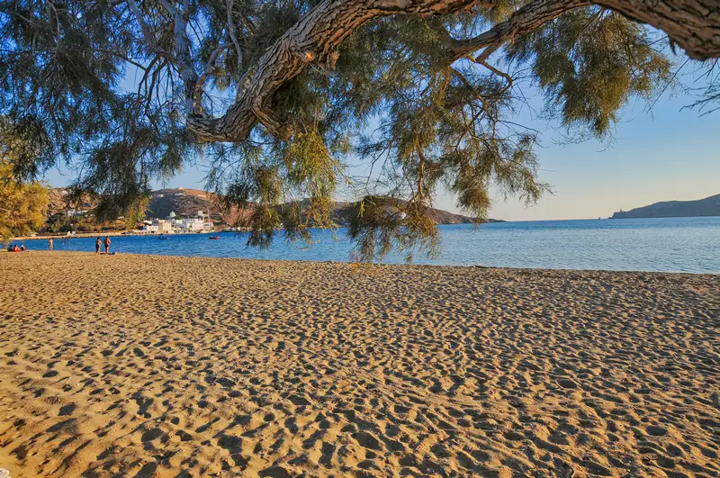 Gialos beach on Ios, with a tamarisk tree branch reaching over the golden sand