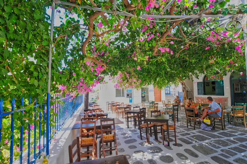 Outdoor tavernas under bougainvillea in Chora