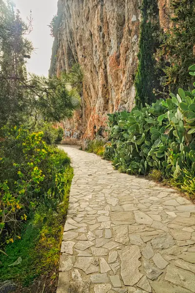 Stone walking path along the Akronafplia rock with native plants