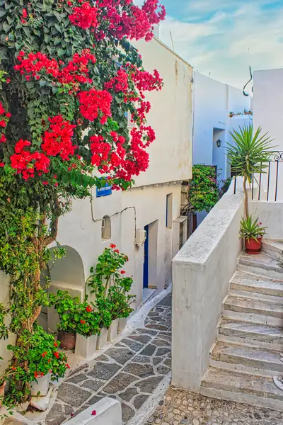 White houses and red bougainvillea in Chora Naxos