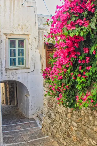 Stone pathway with pink bougainvillea in Chora Naxos