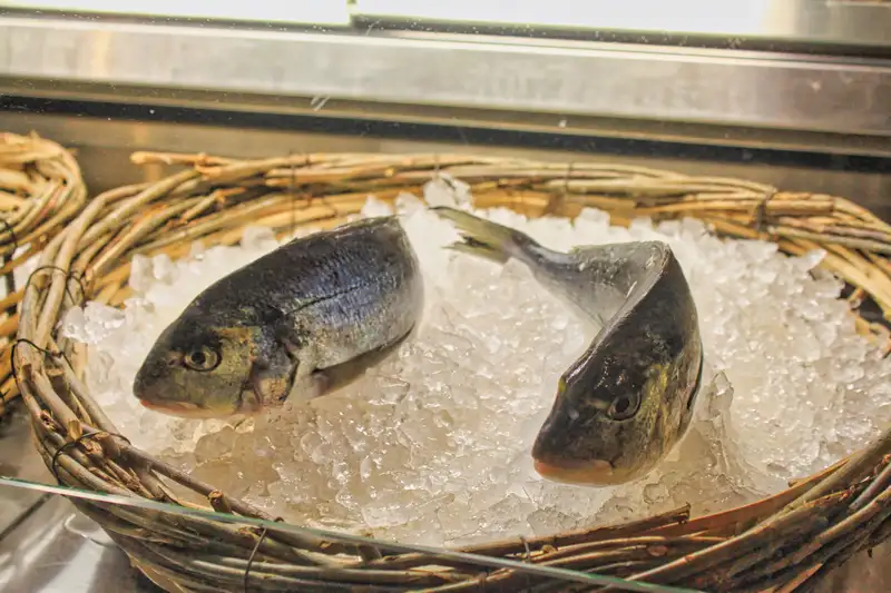 Fresh sea bream on ice at a Naxos taverna