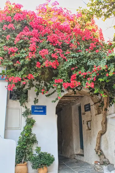 Bougainvillea over Apollonos Street in Chora Naxos