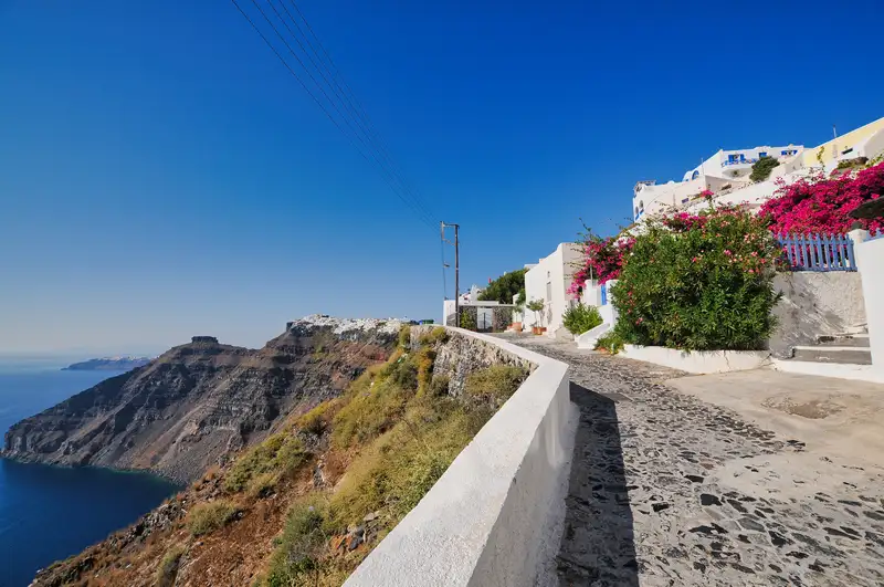 Cobbled cliffside path along the Santorini caldera with houses and pink flowers