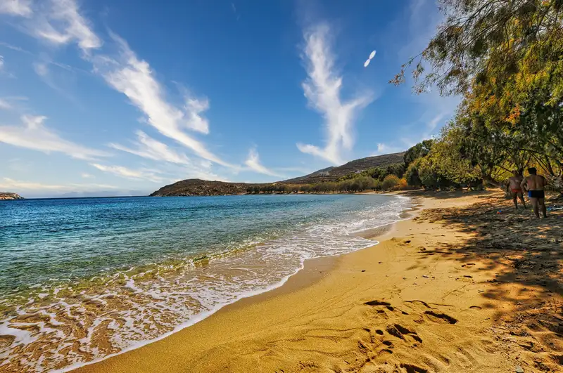 Sandy Livadakia beach lined with tamarisk trees near Livadi