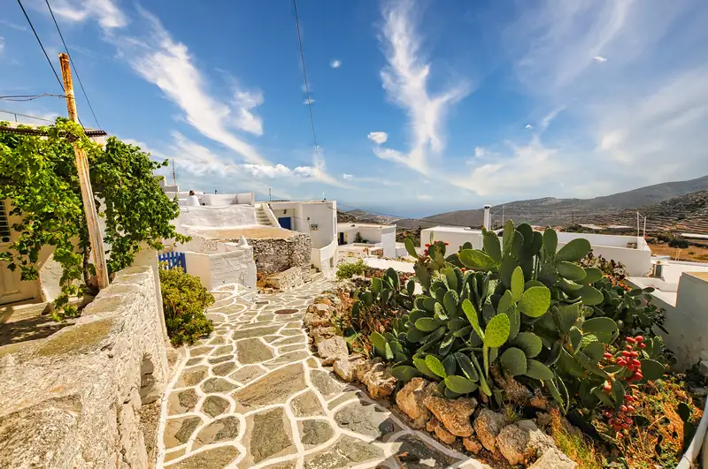 Stone path lined with prickly pears winding through Kastro Sikinos