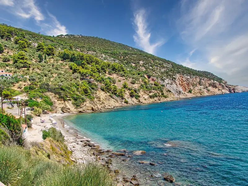 Agios Konstantinos beach on Skopelos island with turquoise water and pine-covered hills