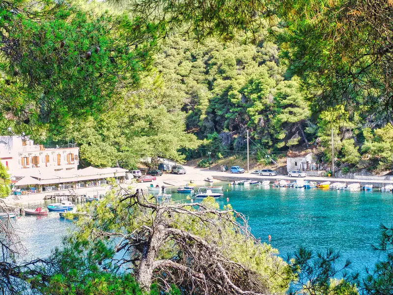 A view through the pines down to Agnontas harbour on Skopelos island