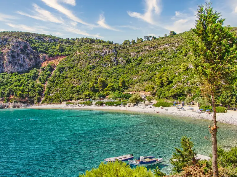 Limnonari beach on Skopelos island with turquoise water and a pine backdrop