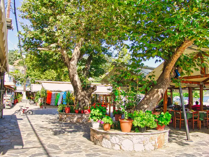 A stone-paved plateia under old plane trees in Loutraki, Skopelos island