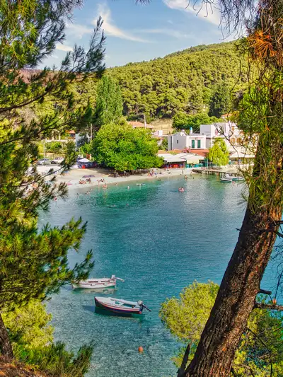 Boats resting in a forested bay framed by pine trees on Skopelos