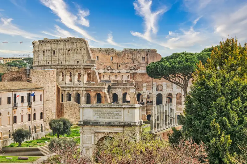 The Colosseum seen from the Roman Forum, framed by a stone pine