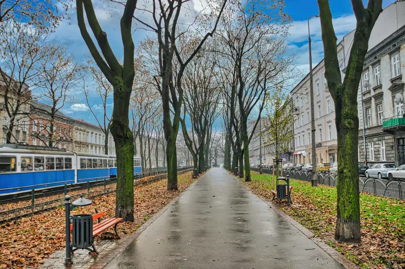 Tree-lined walking path beside a tram line in Krakow, Poland