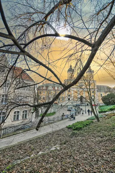 Franciscan Church in Poznan framed by bare trees on Przemysl Hill