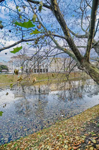 Autumn leaves and reflections on the Fosa Miejska in Wroclaw
